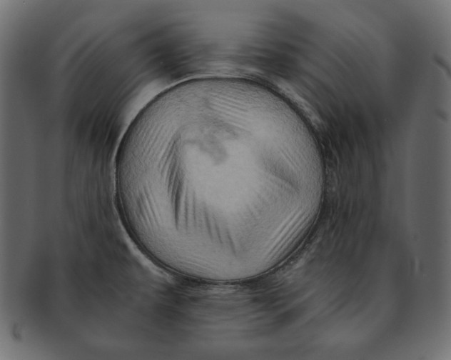 X0000091361479200709071251