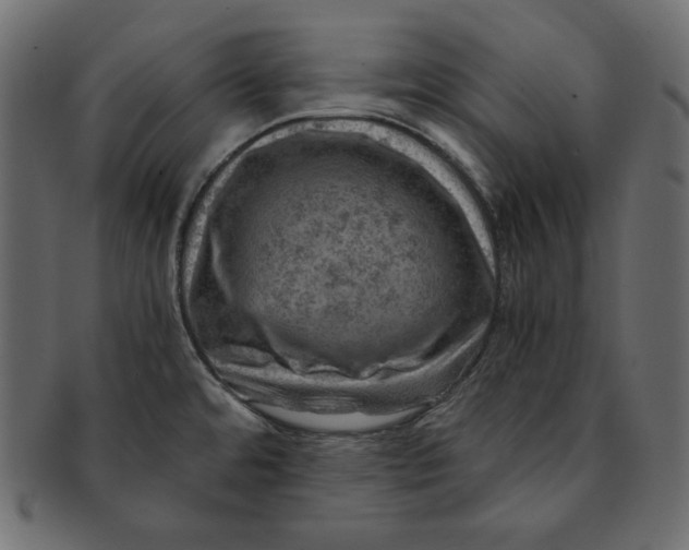 X0000091361480200709071251