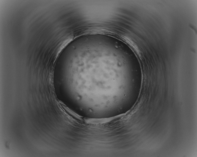 X0000091361481200709071251