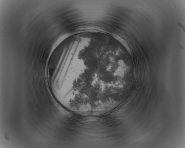 X0000091361482200709071251