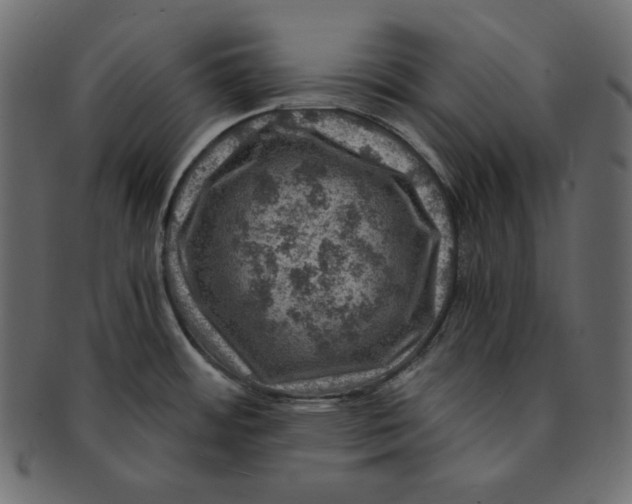 X0000091361484200709071251
