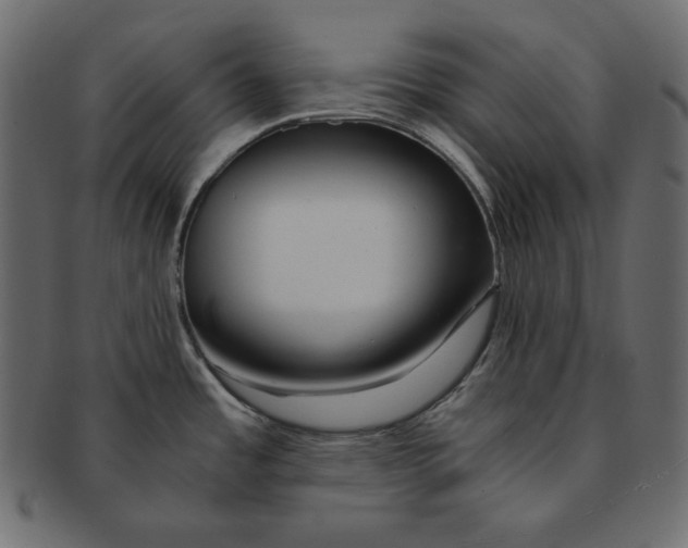 X0000091361485200709071251