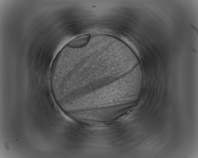 X0000091361486200709071251