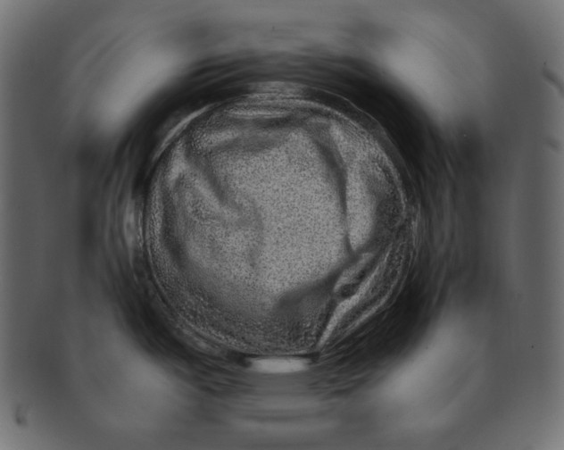 X0000091361487200709071251