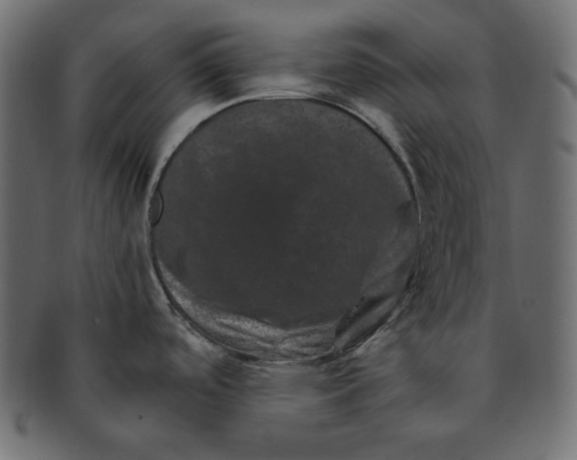 X0000091361488200709071251