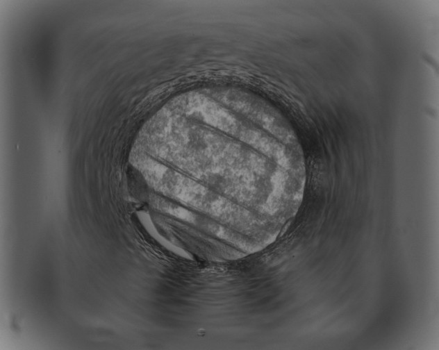 X0000091361489200709071251
