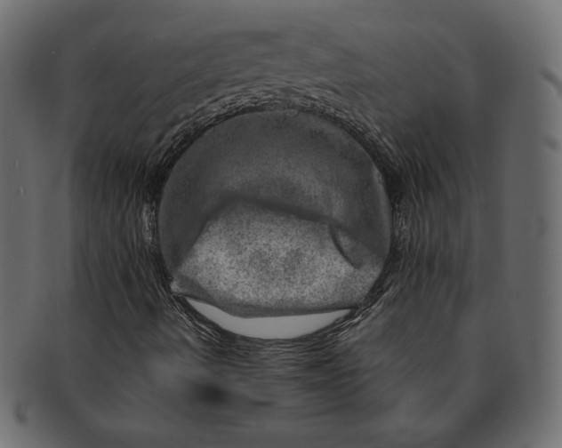 X0000091361490200709071251