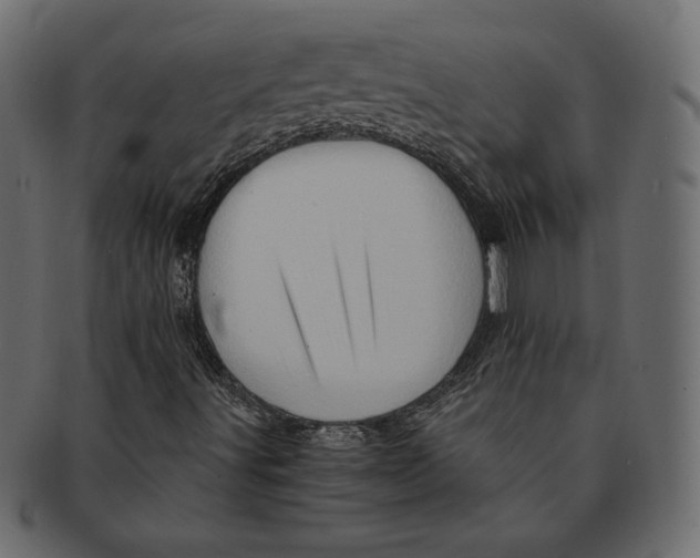 X0000091361491200709071251