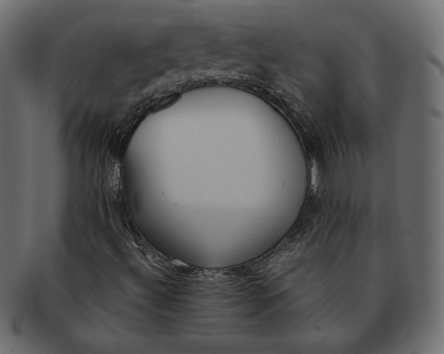 X0000091361492200709071251