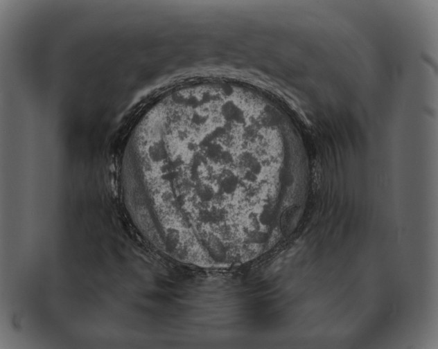 X0000091361494200709071251
