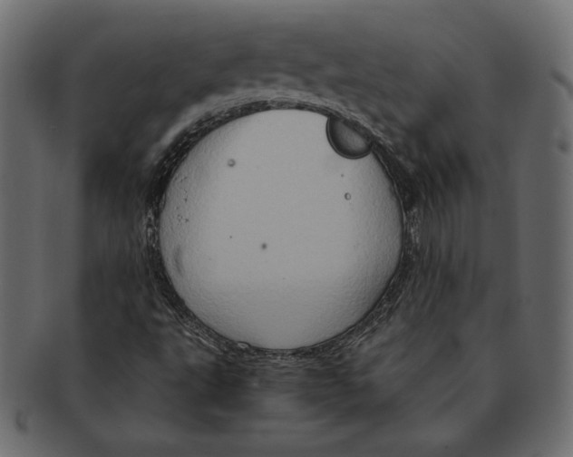 X0000091361495200709071251