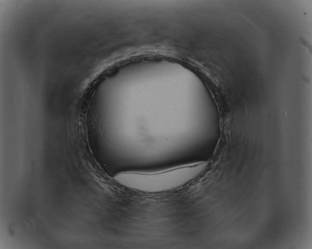 X0000091361496200709071251