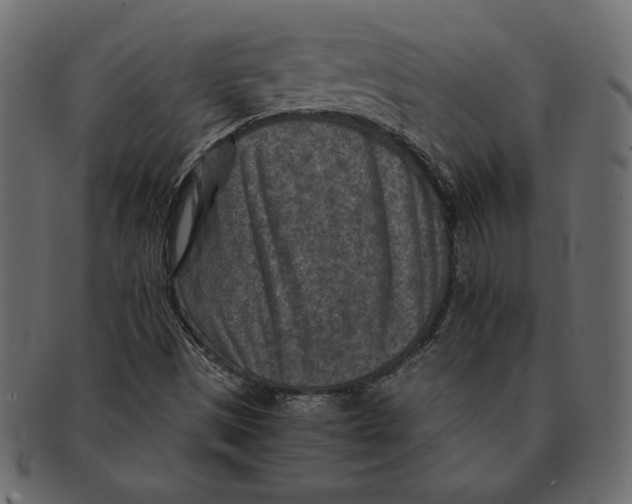 X0000091361497200709071251