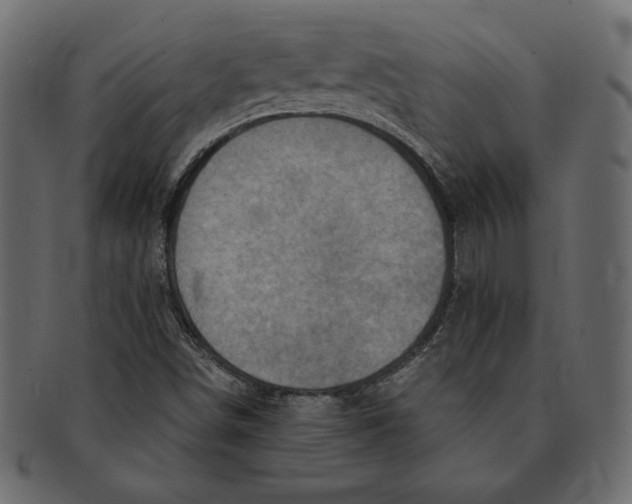 X0000091361498200709071251