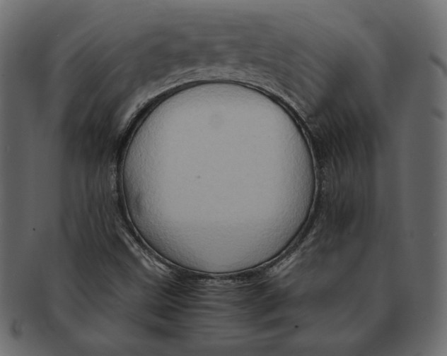 X0000091361499200709071251