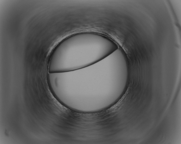 X0000091361500200709071251