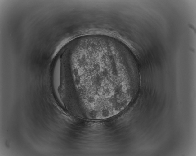 X0000091361501200709071251