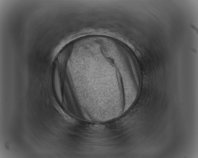 X0000091361503200709071251