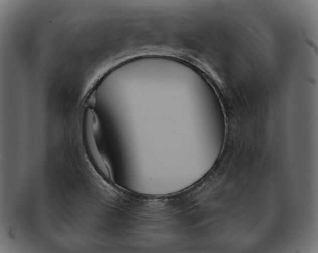 X0000091361504200709071251