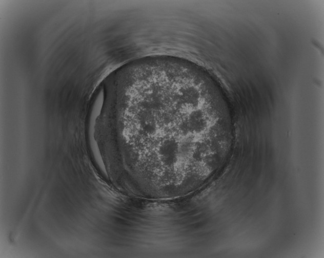 X0000091361505200709071251