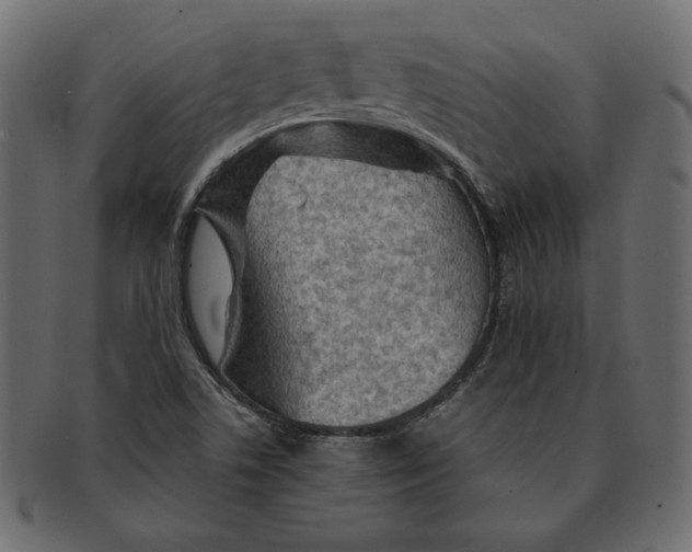 X0000091361506200709071251