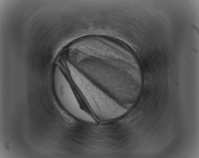X0000091361507200709071251