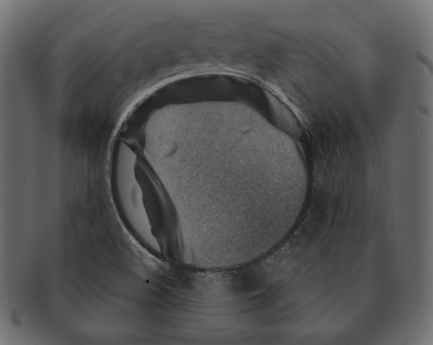 X0000091361508200709071251