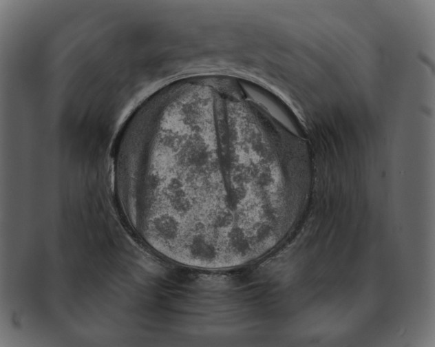 X0000091361509200709071251