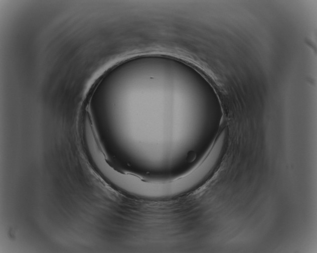 X0000091361510200709071251