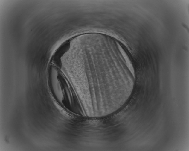 X0000091361511200709071251