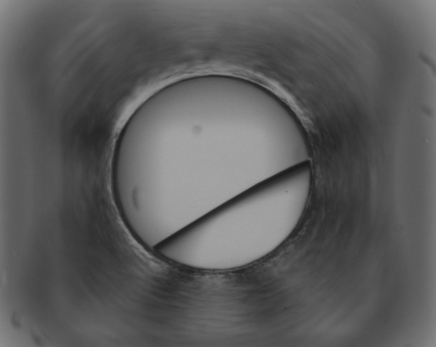 X0000091361512200709071251