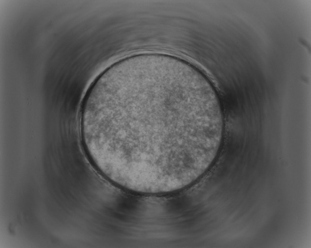 X0000091361514200709071251