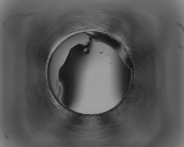 X0000091361516200709071251
