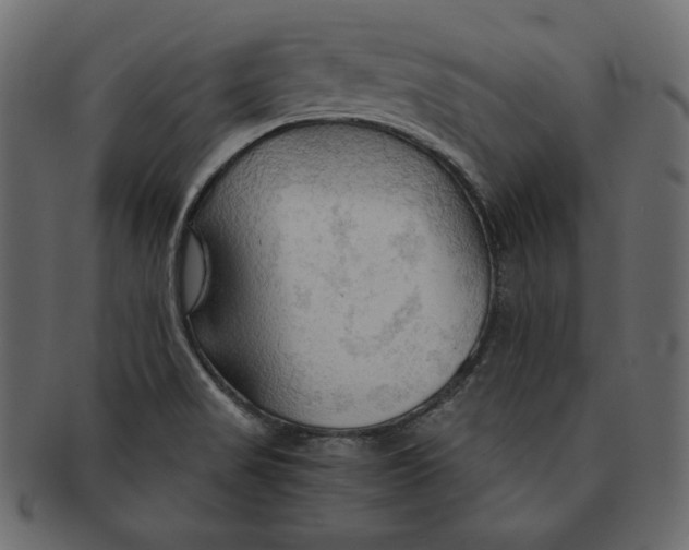 X0000091361517200709071251