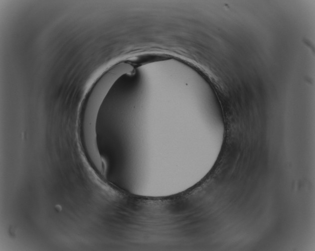 X0000091361518200709071251