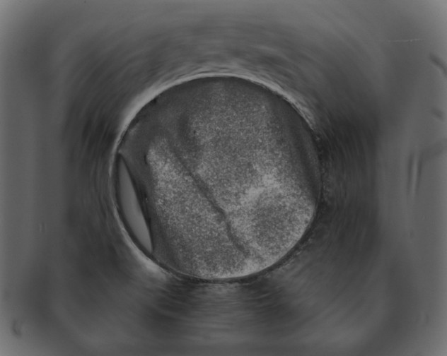 X0000091361519200709071251