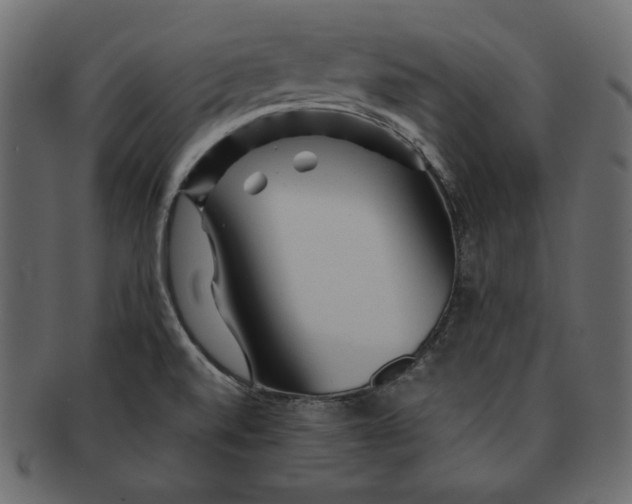X0000091361520200709071251