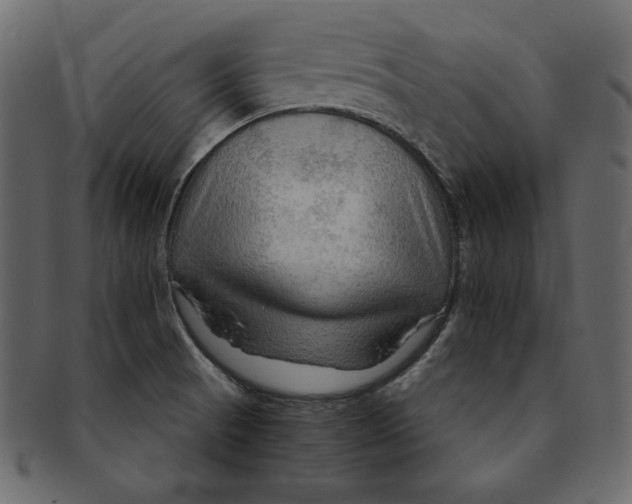 X0000091361521200709071251