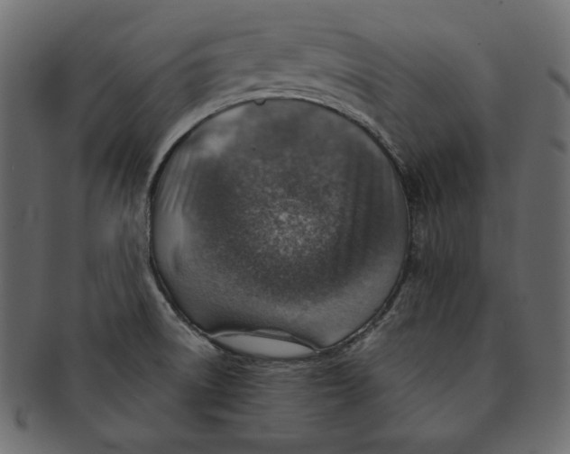 X0000091361522200709071251