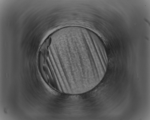 X0000091361523200709071251