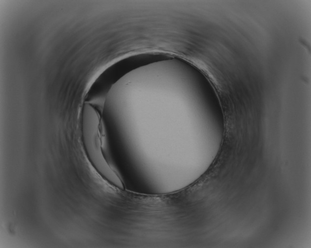 X0000091361524200709071251