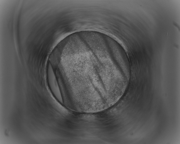 X0000091361525200709071251