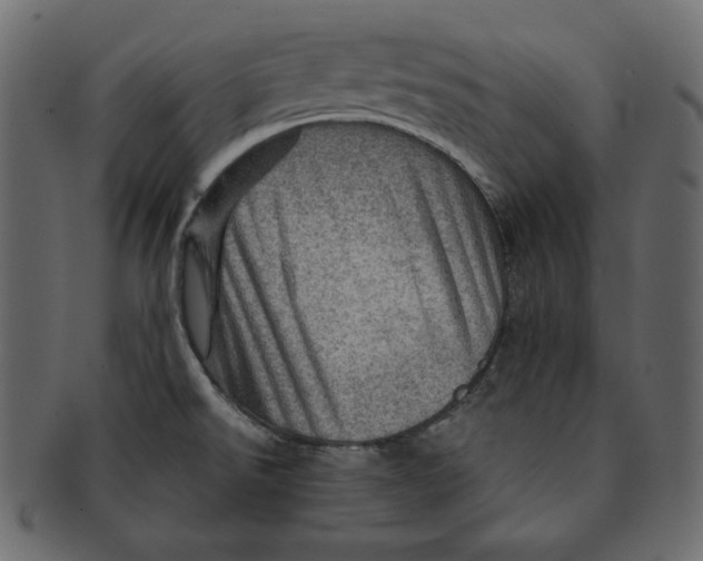 X0000091361526200709071251