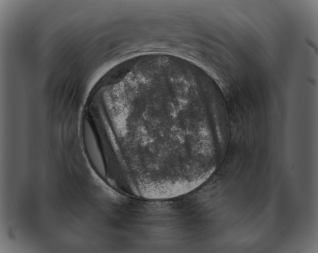 X0000091361527200709071251