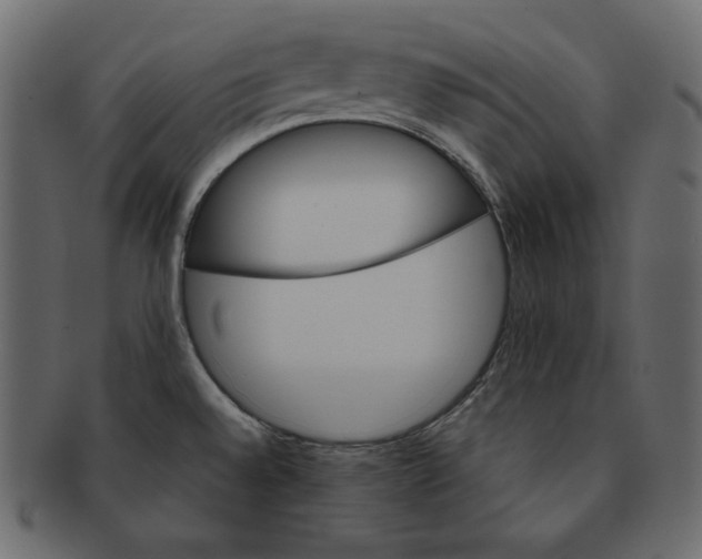 X0000091361528200709071251