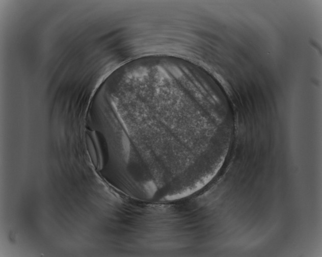 X0000091361529200709071251