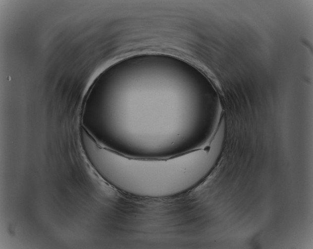 X0000091361530200709071251