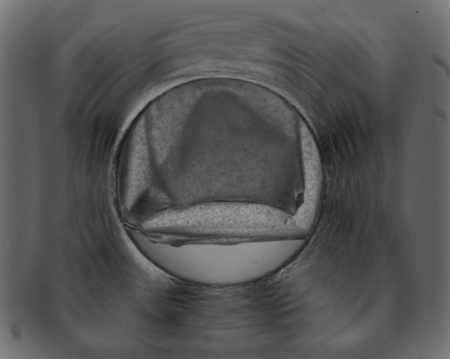 X0000091361531200709071251