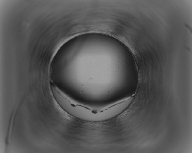 X0000091361532200709071251