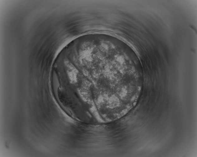 X0000091361533200709071251